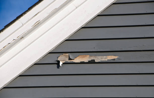 Best Same-Day Junk Removal Services  in Newark, TX